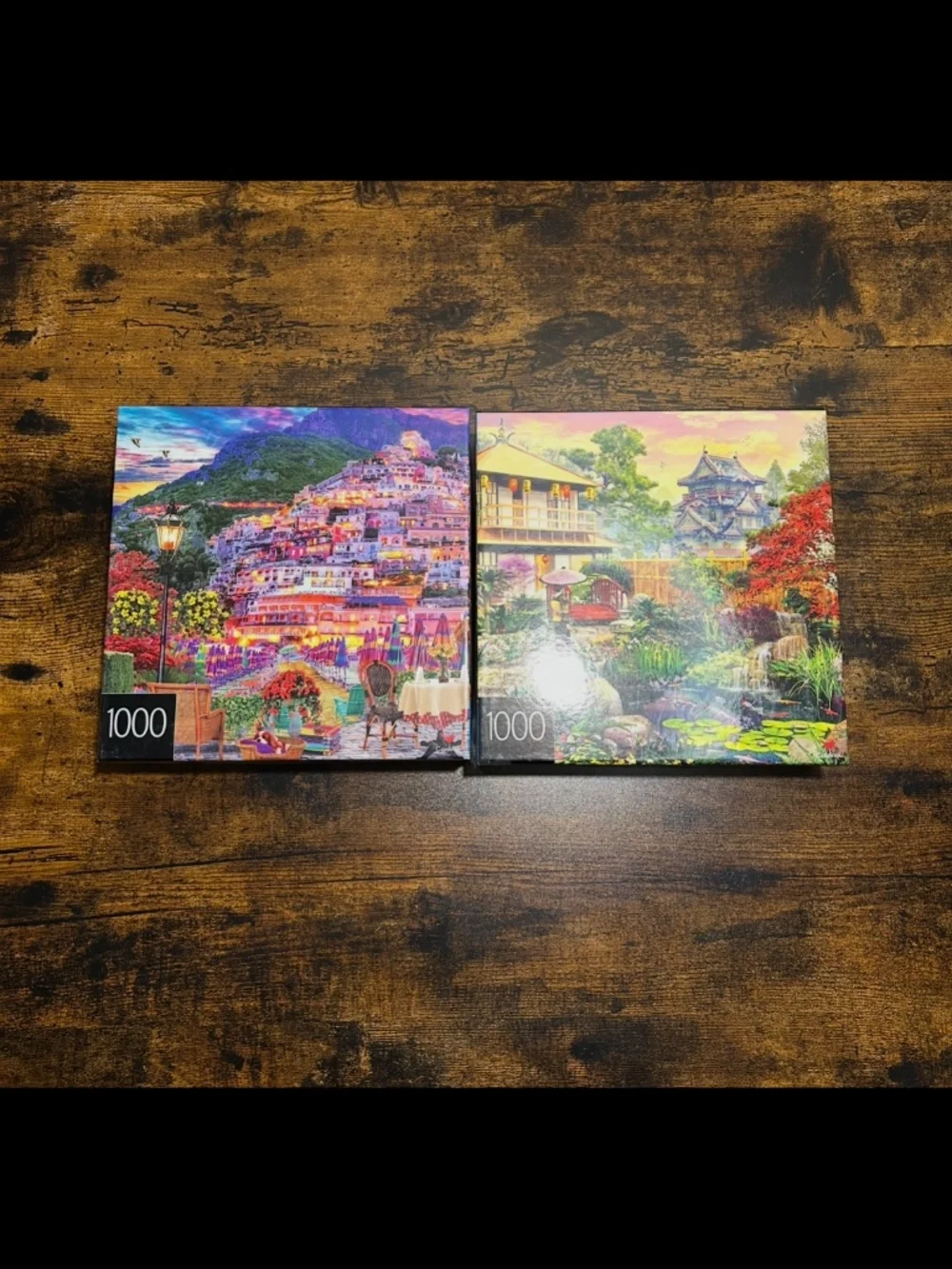 1000 puzzle pieces